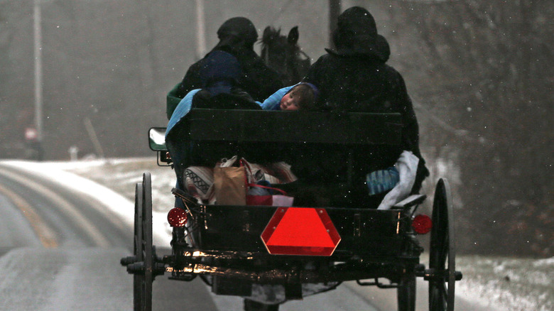 amish in horse and buggy