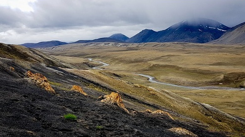 Ellesmere Island