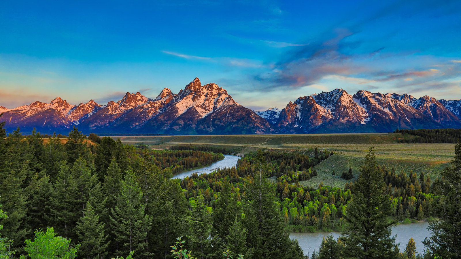 The Animal That Has Injured More People In Yellowstone Than Any Other