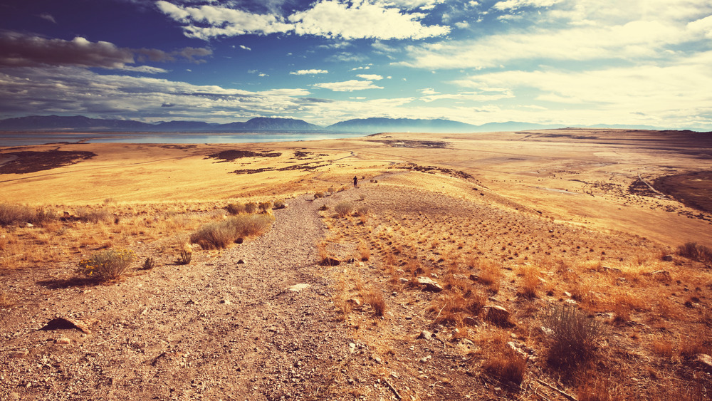 Prairie landscape