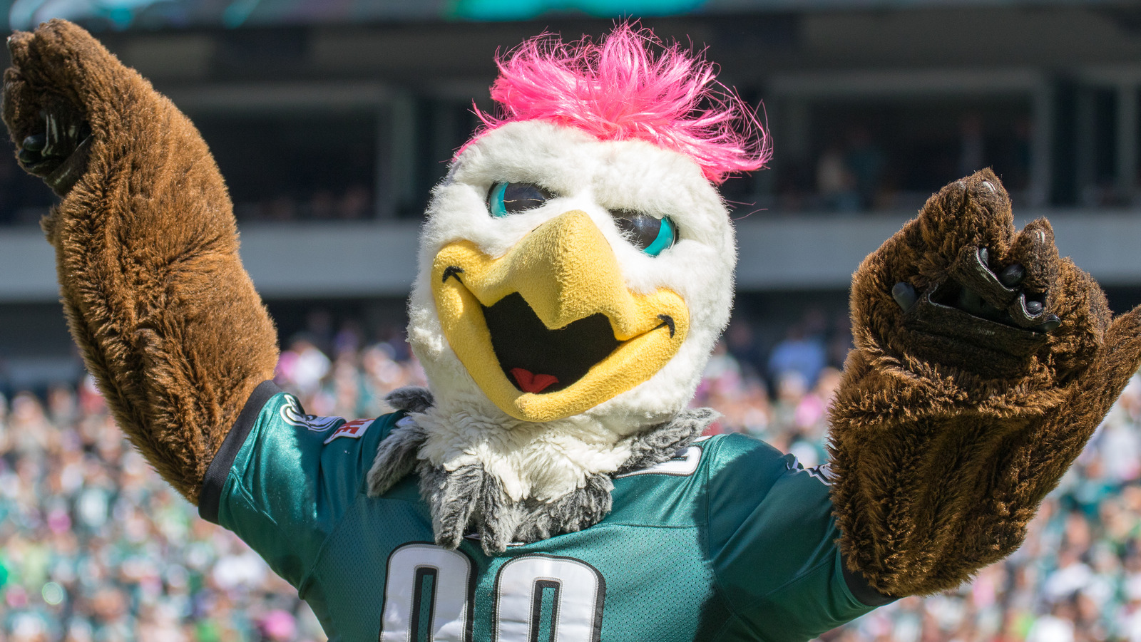 What Is Philadelphia Eagles Mascot Swoop Salary?