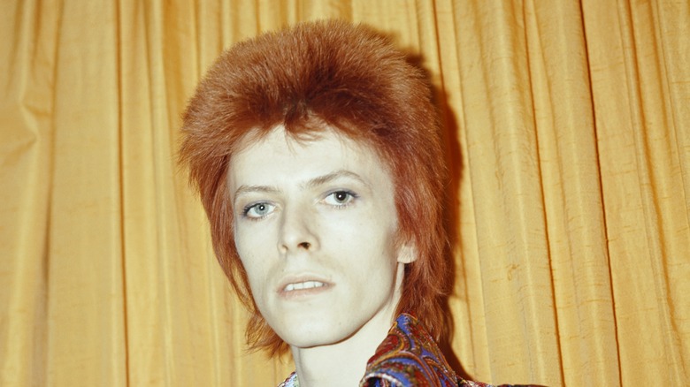 David Bowie as Ziggy Stardust