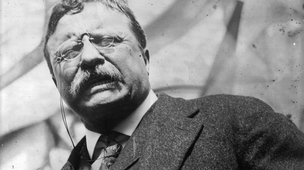 Theodore Roosevelt