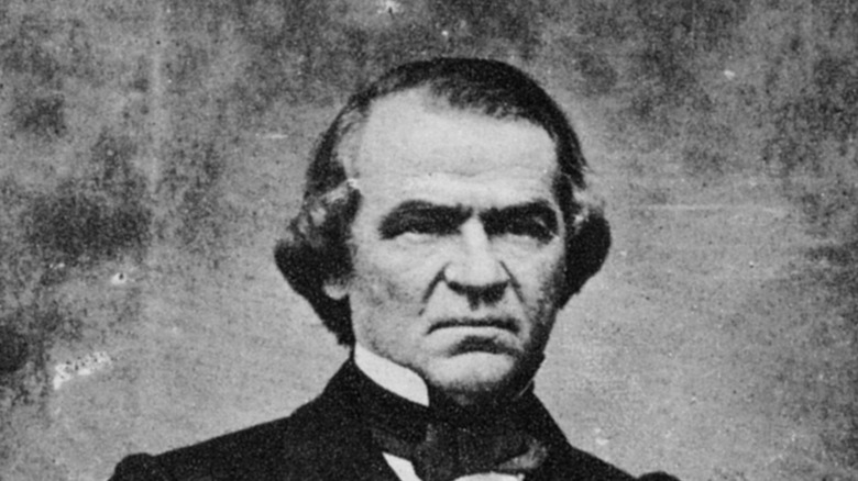 Photo of President Andrew Johnson