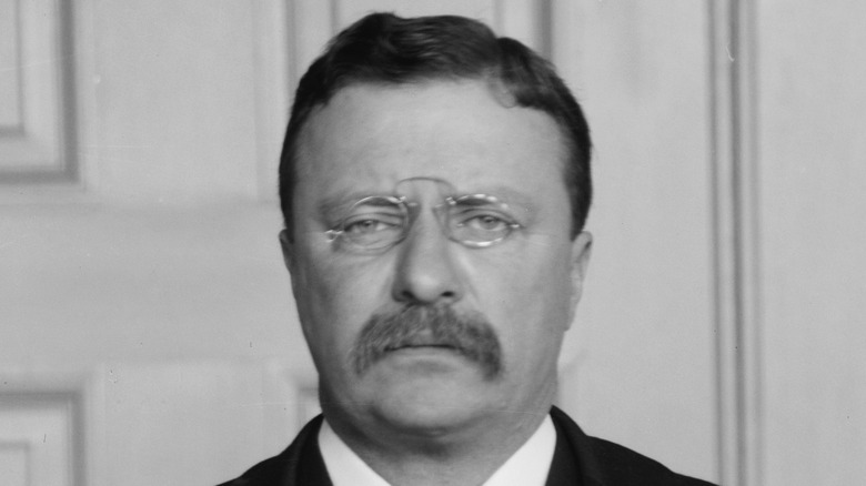 Photo of Theodore Roosevelt