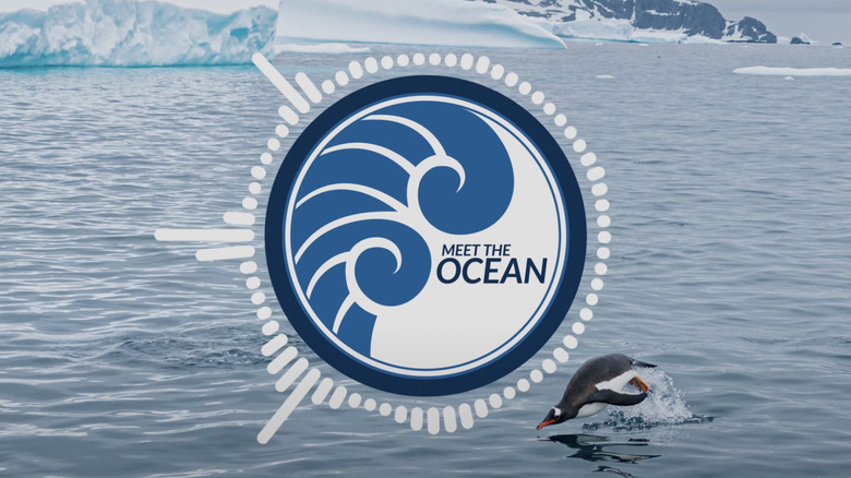 Meet The Ocean logo and Antarctic background.