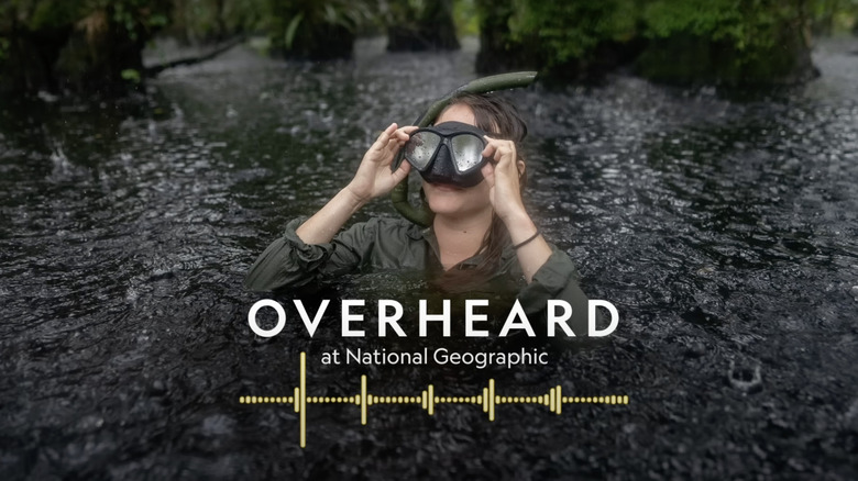 Overheard at National Geographic splash screen.