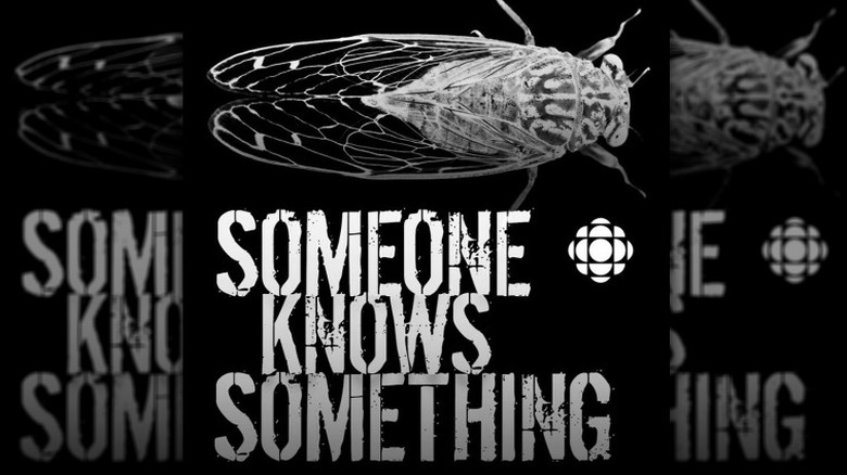 Someone Knows Something podcast cover white cicada on black