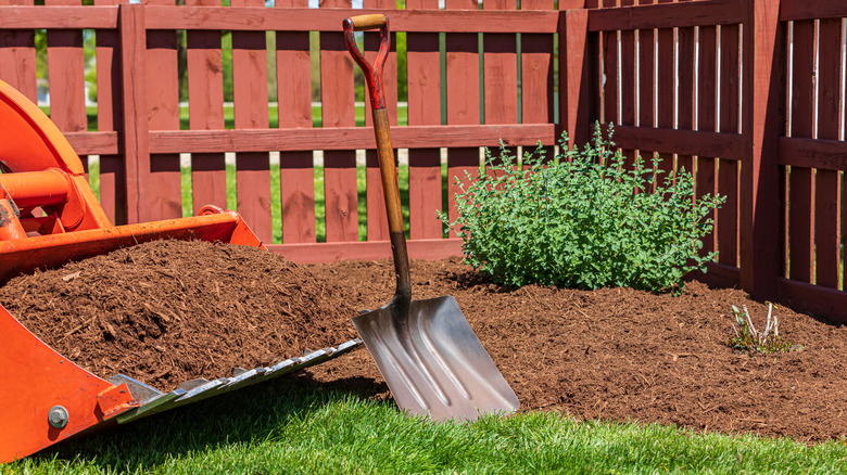 tools of a landscaping business