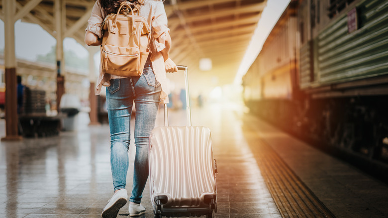 person with luggage at the train station