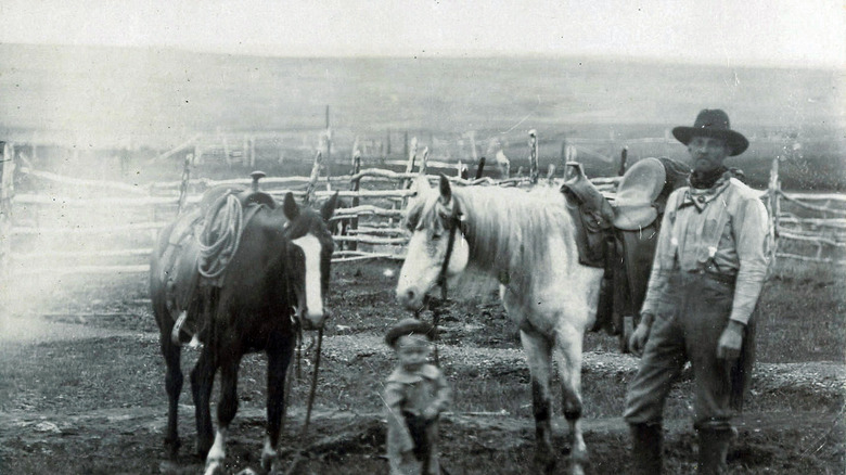 Cattle rancher posing for photo