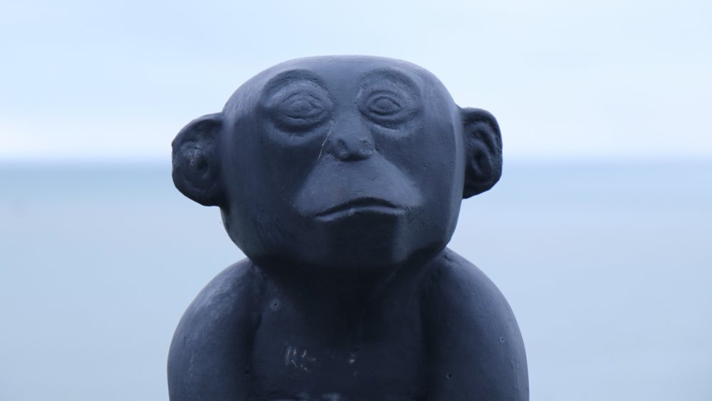 stone monkey