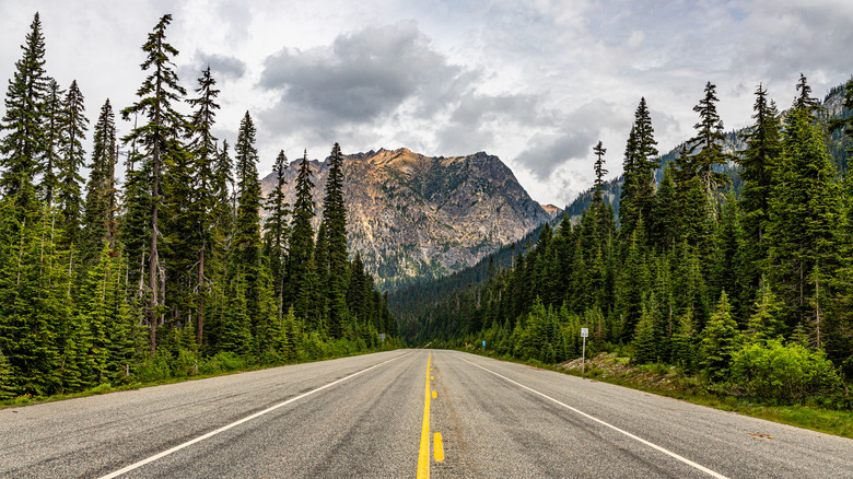 Road through Northern Cascades