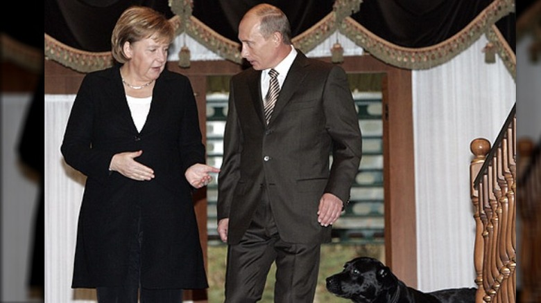 Putin in conversation with Angela Merkel, dog Koni in foreground