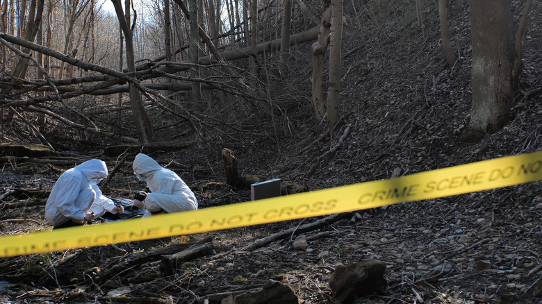 Forensics workers in a forest