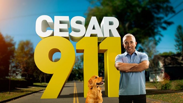 Cesar Millan, puppy