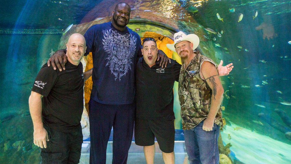 Tanked, Animal Planet