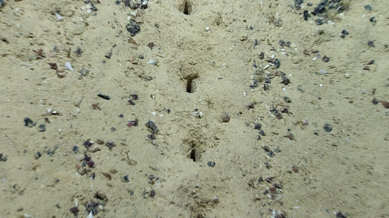 mysterious holes