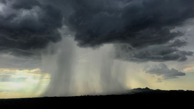 Downburst descends from cloud