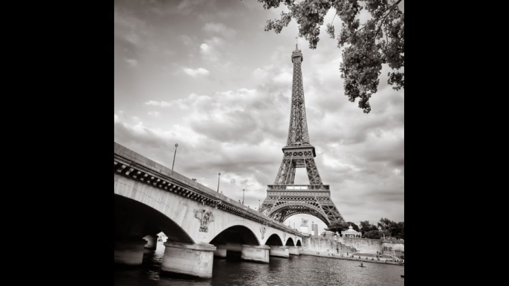 View of Eiffel tower and bridge in square monochrome style