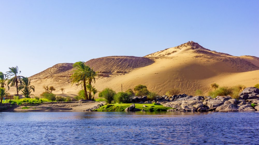 Banks of the Nile River