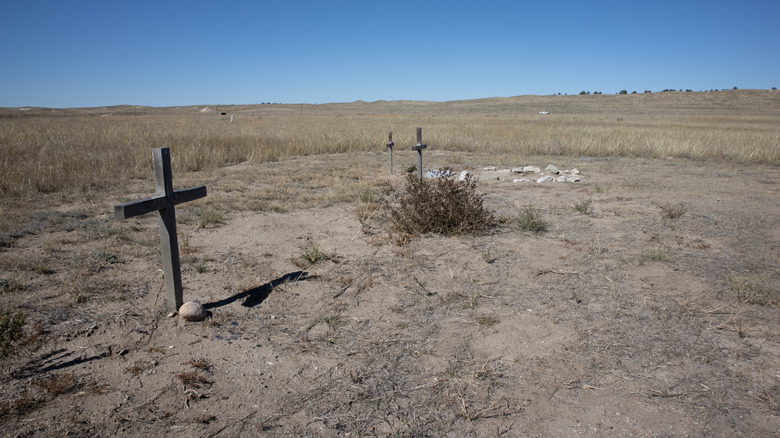 Oregon Trail grave