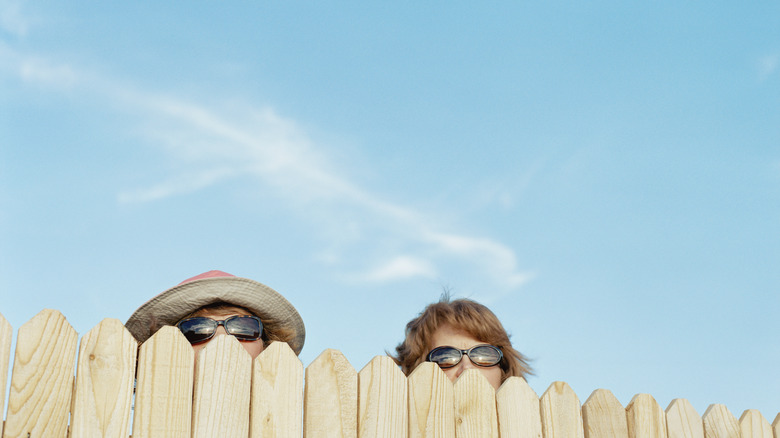 Neighbors peering over fence