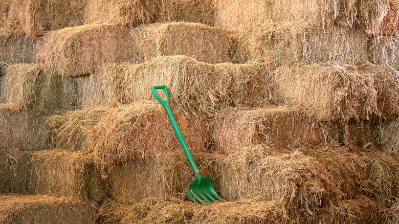 Hay bales stacked