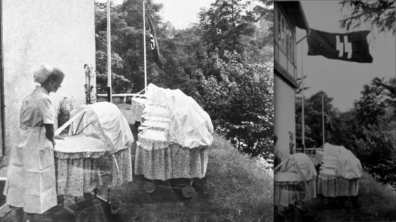 nazi nurses tending to lebensborn babies