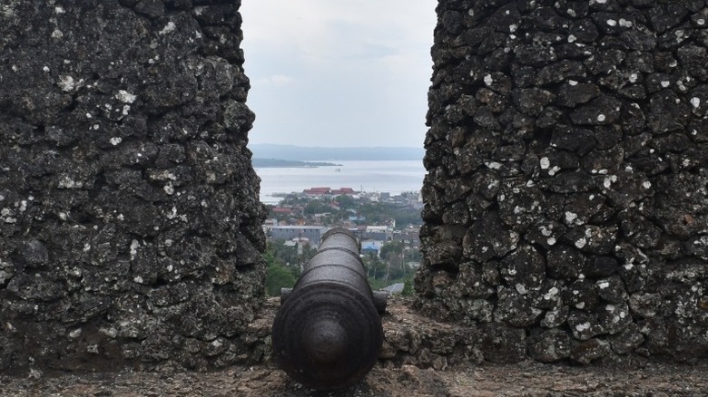 Cannon ready to fire 