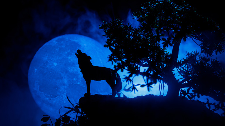 Wolf howling at full moon