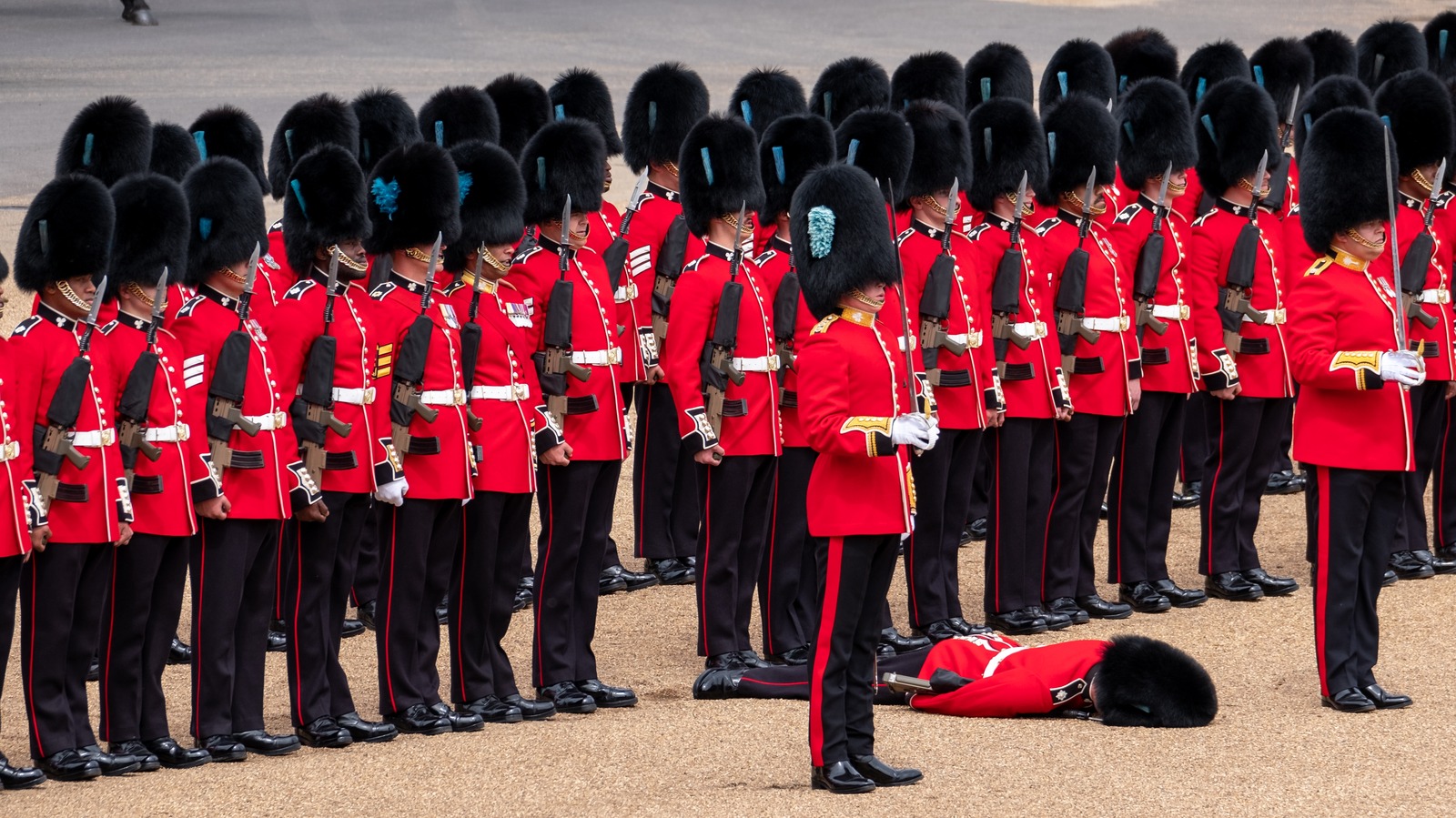 the-british-military-guards-must-follow-proper-protocol-even-while-fainting