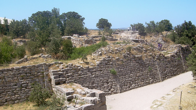 Walls of Troy photo