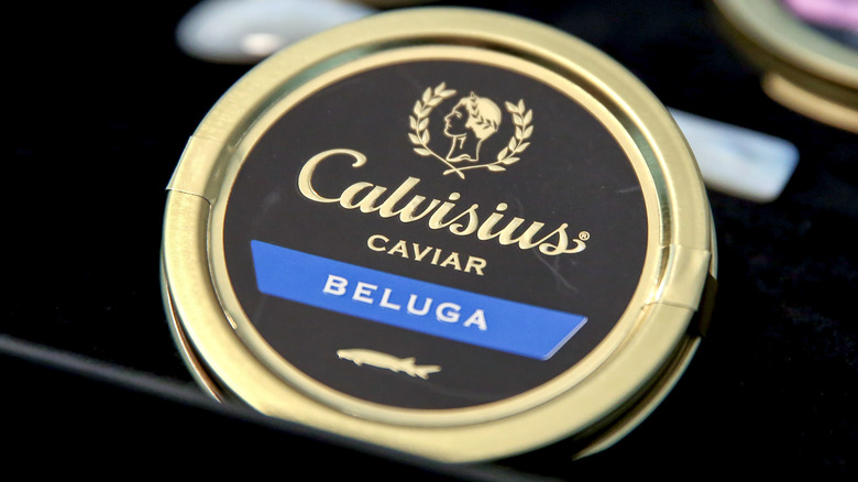 Beluga caviar 