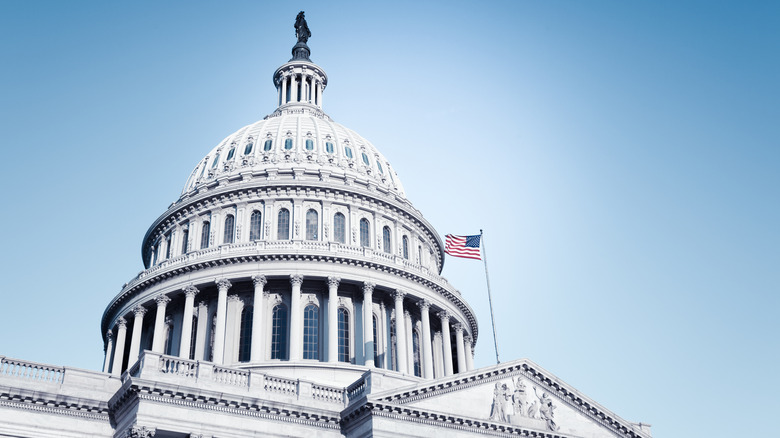 The U.S. Capitol 