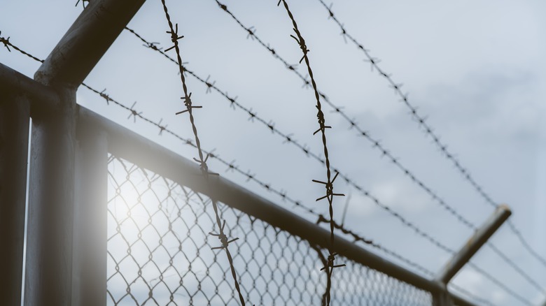 Prison wall with razor wire