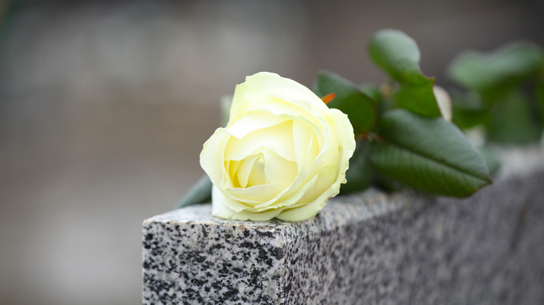 Flower on gravestone