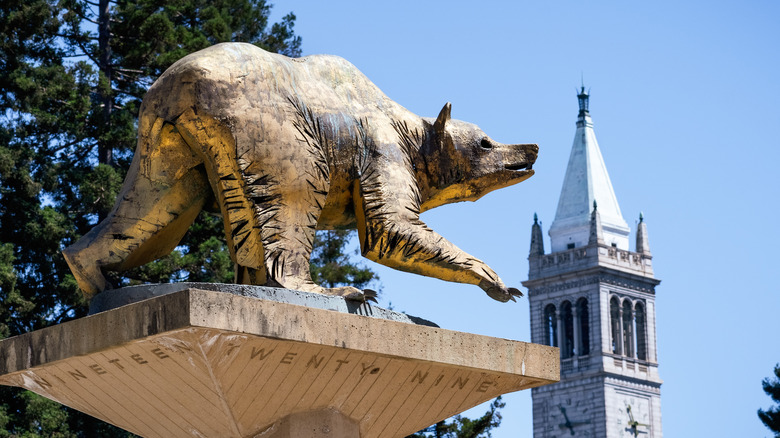 university of california berkeley