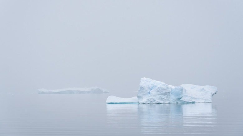 ice floating in Antarctica