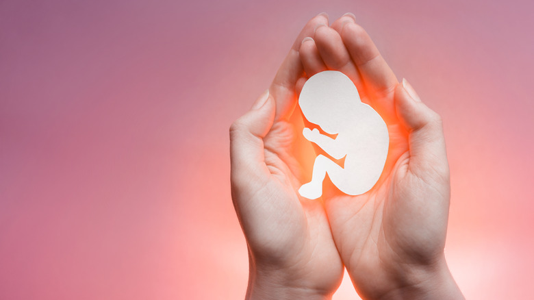 hands holding paper embryo