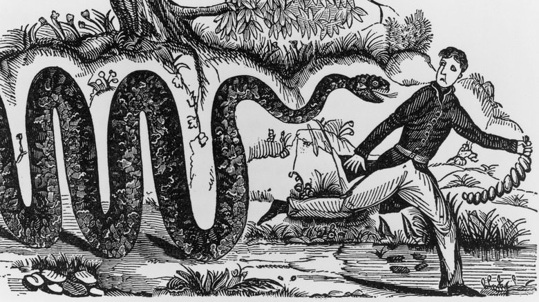 Davy Crockett flees a snake in a political cartoon