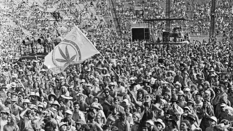 Weed flag at Carter campaign event