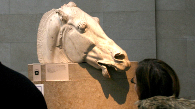 patrons horsehead elgin marbles