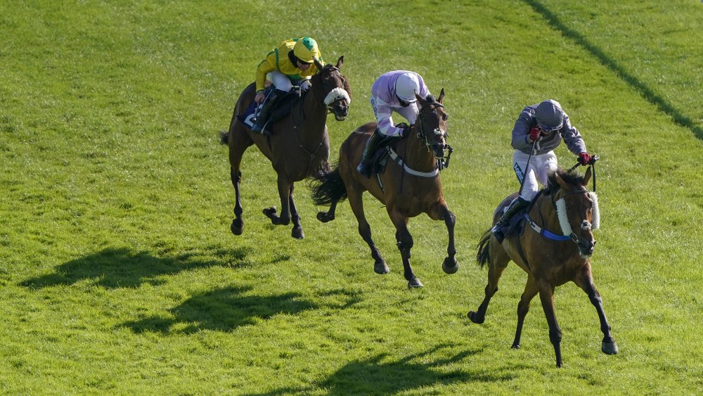 Steeplechase horse race