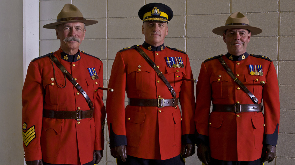 rcmp officers in military gear sitting on horses during an outdoor parade