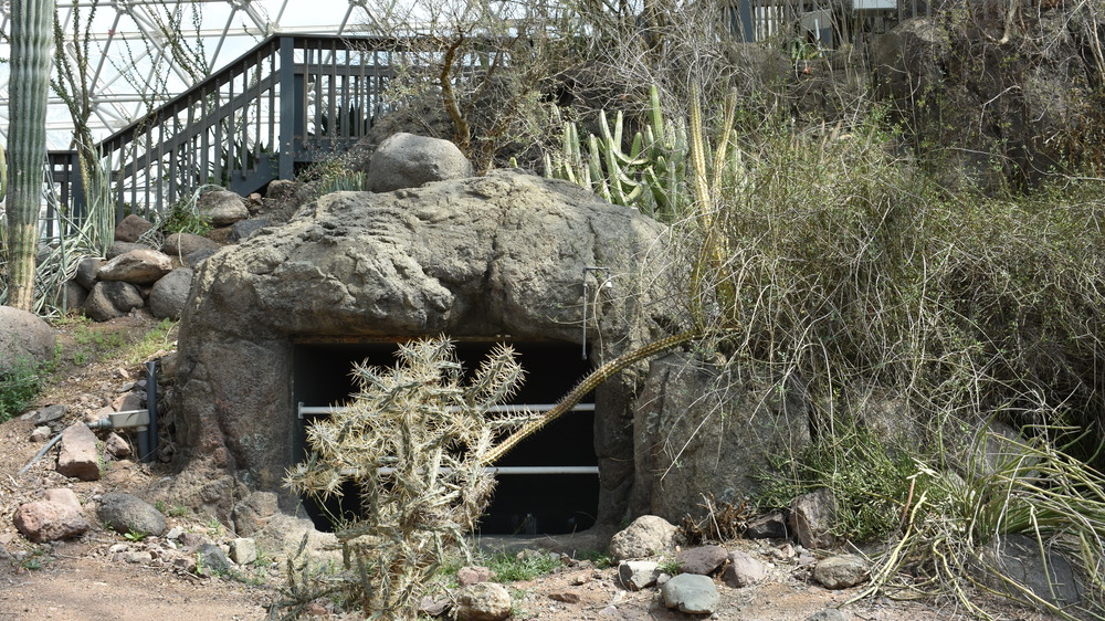 desert interior biosphere 2