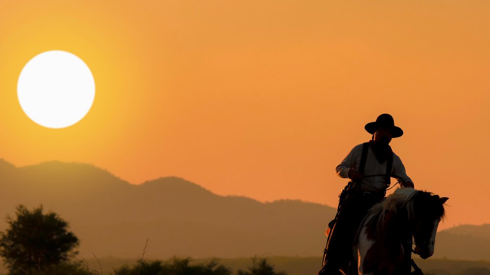 cowboy sunset