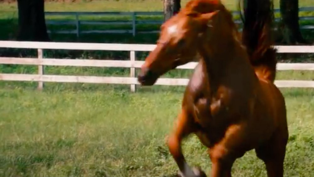 Secretariat (from the 2010 movie)