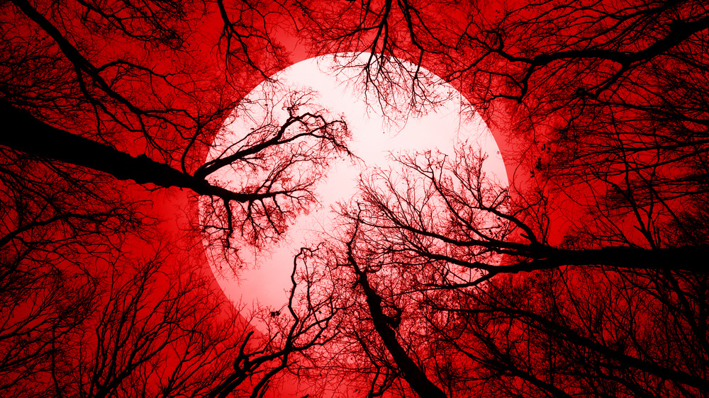 moon on forest background red