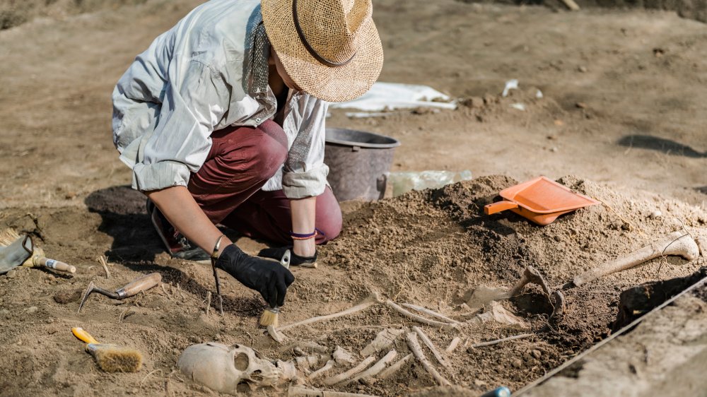 Excavating human bones